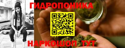 СК Донецк