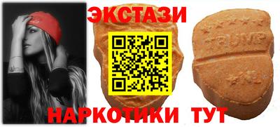СК Донецк