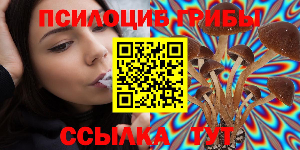 Новый Уренгой  Псилоцибиновые грибы мухоморы  Псилоцибиновые грибы GOLDEN TEACHER  где купить наркотик  Вход с VPN 